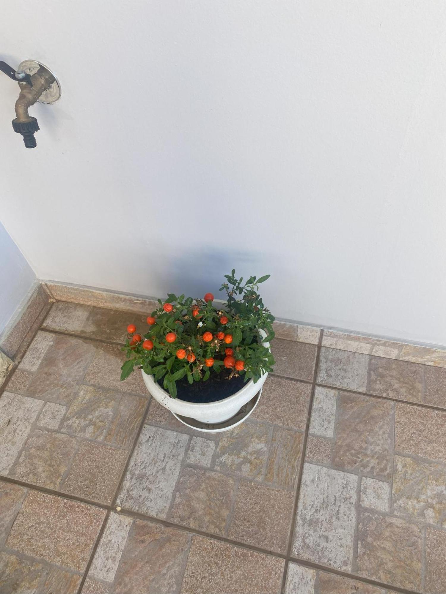 New Unique Apartment In Heraklion מראה חיצוני תמונה